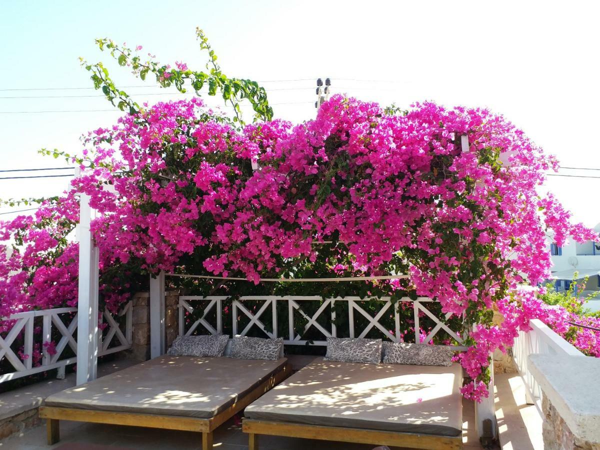 Bougainvillea Suites Kamári Extérieur photo